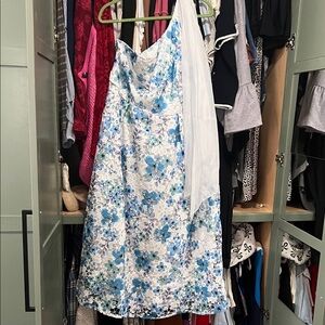 Floral Blue and White Dress with Veil